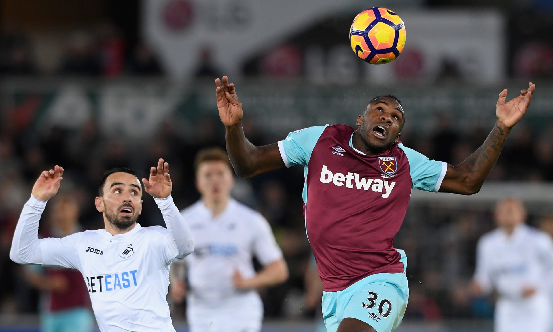 任何风吹草 任何风吹草